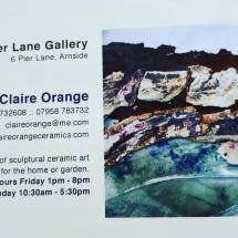 19433554_1386157011475809_426927394_n