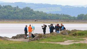 19961468_1408285702596273_6606534728001575412_n